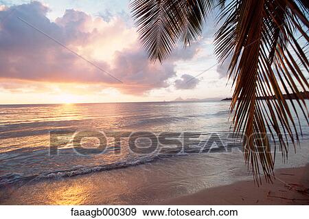 Tropical beach View Large Photo Image Stock Photo - Tropical beach. Fotosearch