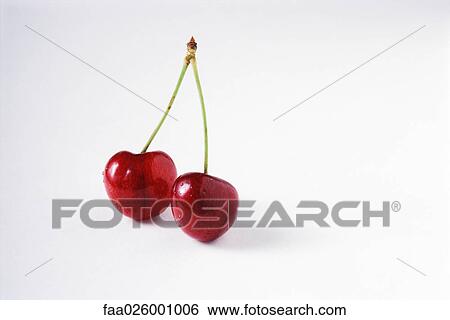 Two cherries on joined stems, close-up View Large Photo Image Stock Photograph - Two cherries on joined stems, close-up. Fotosearch