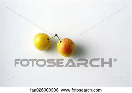 Two Mirabelle plums, white background View Large Photo Image Stock Photograph - Two Mirabelle plums, white background. Fotosearch