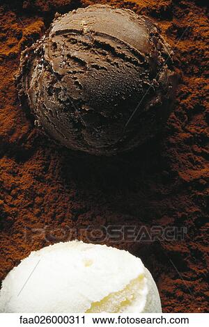 Two scoops of ice cream on cocoa powder, high angle view, close-up View Large Photo Image Stock Image - Two scoops of ice cream on cocoa powder, high angle view, close-up. Fotosearch
