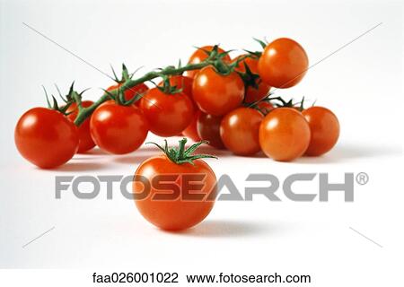 Vine tomatoes, close-up View Large Photo Image Stock Image - Vine tomatoes, close-up. Fotosearch