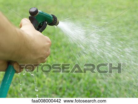 Stock Image - Watering with garden hose. Fotosearch