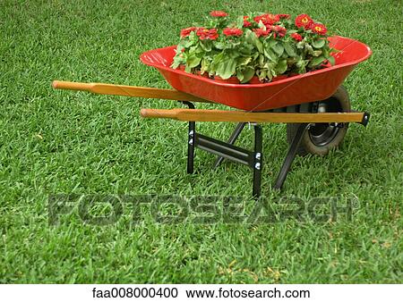Stock Image - Wheelbarrow full of flowers. Fotosearch