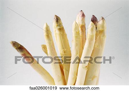 White asparagus, close-up, cropped View Large Photo Image Stock Photo - White asparagus, close-up, cropped. Fotosearch