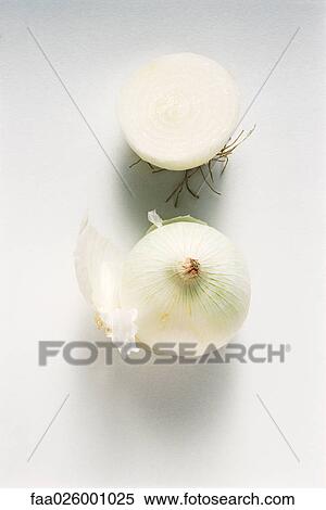 Stock Photography - White onions, one cut in half, close-up. Fotosearch