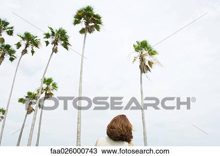 Woman facing palm trees, rear view, low angle View Large Photo Image Stock Image - Woman facing palm trees, rear view, low angle. Fotosearch