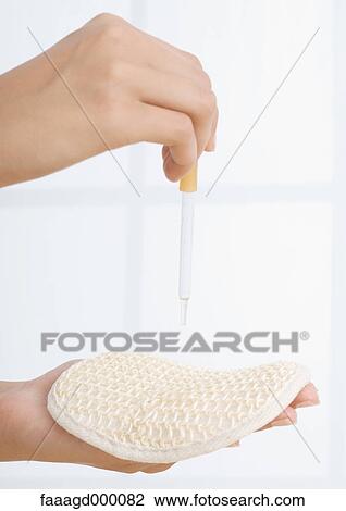 Woman's hands holding sponge and dropper View Large Photo Image Stock Image - Woman's hands holding sponge and dropper. Fotosearch