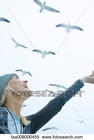 Young woman feeding seagulls in sky View Large Photo Image Stock Photography - Young woman feeding seagulls in sky. Fotosearch