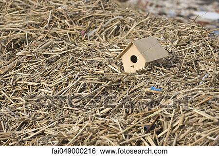 Birdhouse atop pile of mulch View Large Photo Image Stock Photograph - Birdhouse atop pile of mulch. Fotosearch