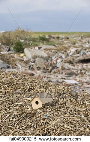Birdhouse atop pile of mulch View Large Photo Image Stock Photography - Birdhouse atop pile of mulch. Fotosearch