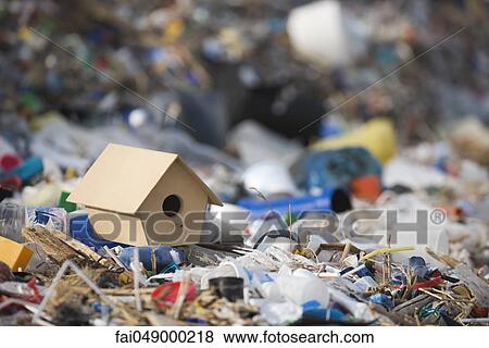 Birdhouse on ground surrounded by landfill trash View Large Photo Image Stock Photo - Birdhouse on ground surrounded by landfill trash. Fotosearch