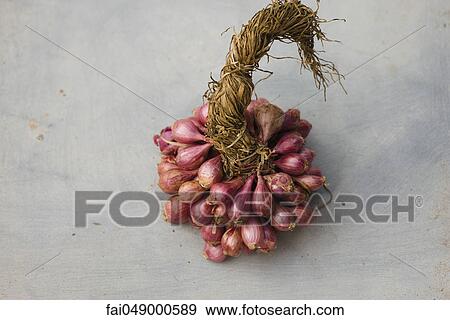 Bunch of shallots View Large Photo Image Stock Photo - Bunch of shallots. Fotosearch