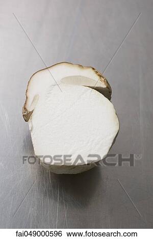 Cep or Porcini mushroom (Boletus edulis), cut in half lengthwise View Large Photo Image Stock Photograph - Cep or Porcini mushroom (Boletus edulis), cut in half lengthwise. Fotosearch
