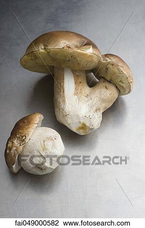 Stock Image - Cep or Porcini mushrooms (Boletus edulis). Fotosearch
