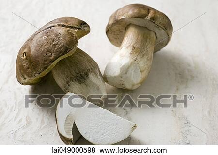 Cep or Porcini mushrooms (Boletus edulis) View Large Photo Image Stock Photo - Cep or Porcini mushrooms (Boletus edulis). Fotosearch
