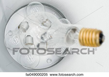Conventional light bulbs in garbage can View Large Photo Image Stock Photography - Conventional light bulbs in garbage can. Fotosearch