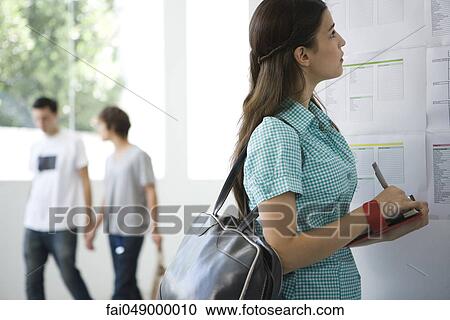 Female college student checking bulletin board, writing in agenda View Large Photo Image Stock Image - Female college student checking bulletin board, writing in agenda. Fotosearch