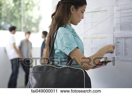 Female college student checking bulletin board View Large Photo Image Stock Image - Female college student checking bulletin board. Fotosearch
