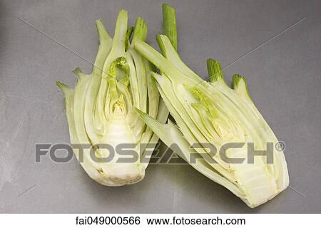 Fresh fennel bulb, cut in half View Large Photo Image Stock Photograph - Fresh fennel bulb, cut in half. Fotosearch