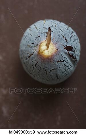 Fresh fig View Large Photo Image Stock Photo - Fresh fig. Fotosearch