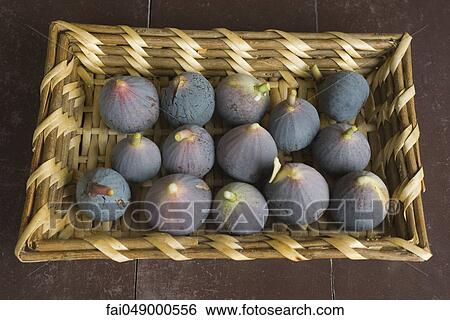 Fresh figs View Large Photo Image Stock Photograph - Fresh figs. Fotosearch