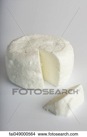 Fresh soft goat cheese from Tarn, France View Large Photo Image Picture - Fresh soft goat cheese from Tarn, France. Fotosearch