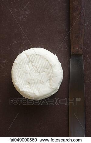 Fresh soft goat cheese from Tarn, France View Large Photo Image Stock Image - Fresh soft goat cheese from Tarn, France. Fotosearch
