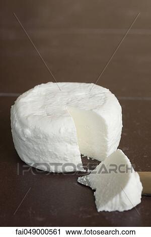 Fresh soft goat cheese from Tarn, France View Large Photo Image Stock Image - Fresh soft goat cheese from Tarn, France. Fotosearch