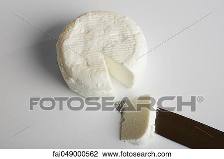 Fresh soft goat cheese from Tarn, France View Large Photo Image Stock Image - Fresh soft goat cheese from Tarn, France. Fotosearch