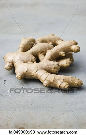 Ginger root View Large Photo Image Stock Image - Ginger root. Fotosearch