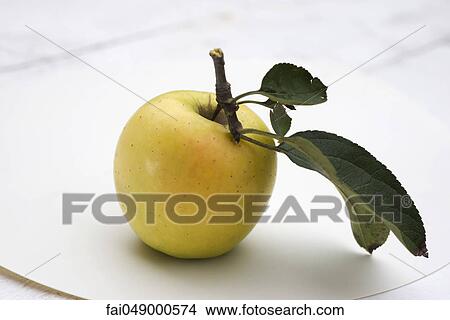 Golden delicious apple View Large Photo Image Picture - Golden delicious apple. Fotosearch