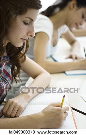 High school students busy with classwork View Large Photo Image Stock Photo - High school students busy with classwork. Fotosearch
