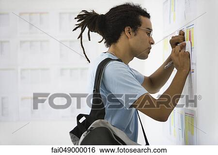 Male college student at bulletin board copying information View Large Photo Image Stock Photograph - Male college student at bulletin board copying information. Fotosearch