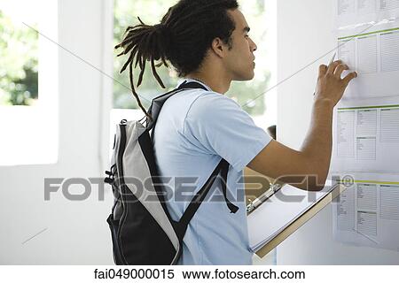 Male college student checking bulletin board, holding binder View Large Photo Image Stock Photography - Male college student checking bulletin board, holding binder. Fotosearch