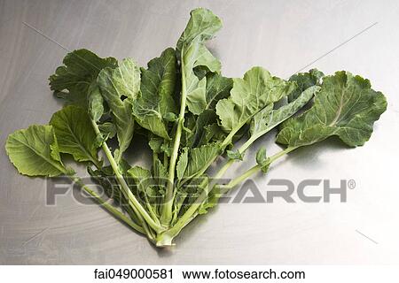 Mustard greens View Large Photo Image Stock Image - Mustard greens. Fotosearch