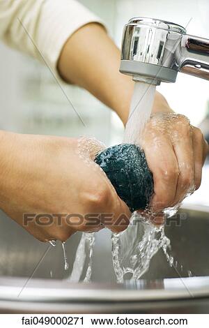 Person rinsing sponge under kitchen faucet View Large Photo Image Stock Image - Person rinsing sponge under kitchen faucet. Fotosearch