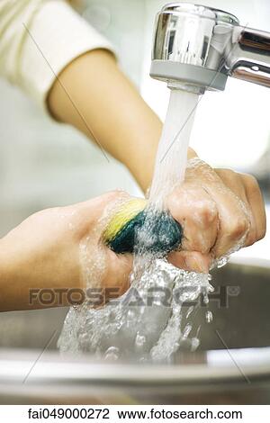 Person rinsing sponge under kitchen faucet View Large Photo Image Stock Image - Person rinsing sponge under kitchen faucet. Fotosearch