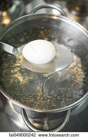 Placing egg in boiling water View Large Photo Image Stock Image - Placing egg in boiling water. Fotosearch
