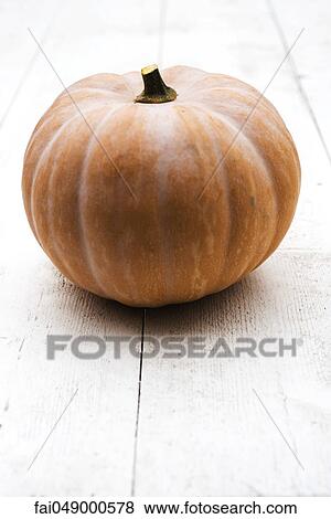 Pumpkin View Large Photo Image Stock Photo - Pumpkin. Fotosearch