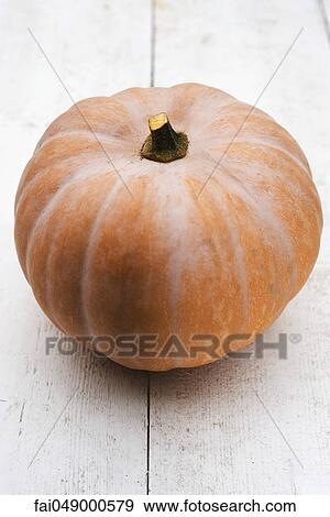 Pumpkin View Large Photo Image Stock Photo - Pumpkin. Fotosearch