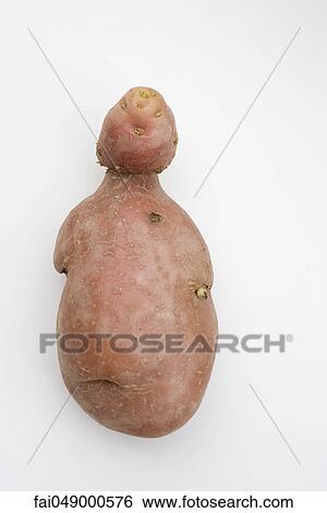 Stock Photograph - Strangely shaped red potato. Fotosearch