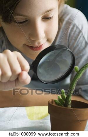 Boy examining cactus through magnifying glass View Large Photo Image Stock Photo - Boy examining cactus through magnifying glass. Fotosearch