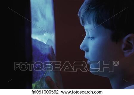 Stock Image - Boy watching TV, touching screen, profile. Fotosearch