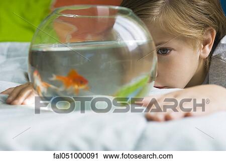 Child watching goldfish swim in fishbowl View Large Photo Image Stock Image - Child watching goldfish swim in fishbowl. Fotosearch