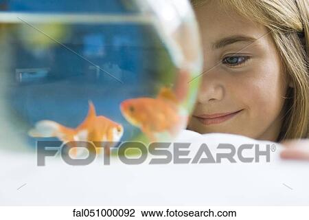 Child watching goldfish swim in fishbowl View Large Photo Image Stock Image - Child watching goldfish swim in fishbowl. Fotosearch