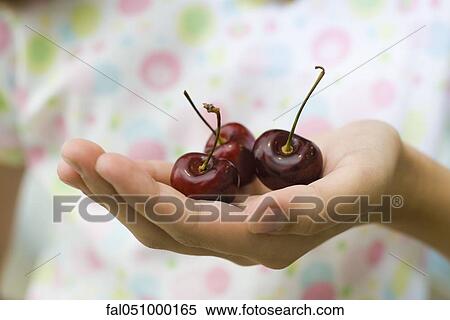 Stock Photography - Child's cupped hand holding cherries. Fotosearch