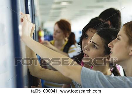 Female high school students looking at bulletin board View Large Photo Image Stock Image - Female high school students looking at bulletin board. Fotosearch