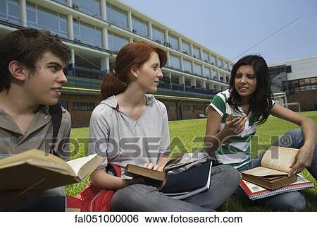 Stock Photograph - High school students having study group sitting on school lawn. Fotosearch