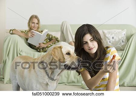 Teenage girl offering dog biscuit to pet dog View Large Photo Image Stock Photo - Teenage girl offering dog biscuit to pet dog. Fotosearch