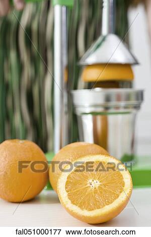Using press to squeeze fresh orange juice View Large Photo Image Stock Photo - Using press to squeeze fresh orange juice. Fotosearch